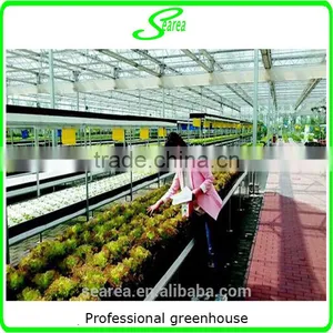Professional Greenhouse Project Commercial Hydroponic Systems thumbnail-3