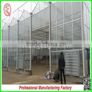 Aluminium Frame Multi-span Small Size Green House for Agriculture/garden thumbnail-5