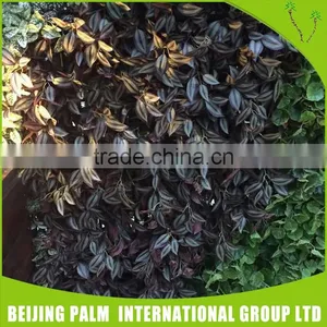 Concrete Plastic Vertical Wall Garden Planter For Garden Decorative Artificial Plant thumbnail-2