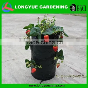 Garden Tools Leader Cheap Wholesale PE Strawberry Grow Bag , Strawberry Planter ,Pop-Up Strawberry Planter Bag thumbnail-1