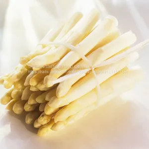 Best Price Fresh White Asparagus thumbnail-1