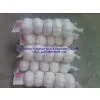 Chinese Fresh Garlic thumbnail-1