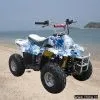 Sell ATV (50cc EPA Engine) With Remote Control thumbnail-1