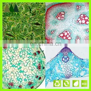 Educational Medical Microbiology Prepared Slides Botany Microscope Slides Microbiology Prepared Slides thumbnail-1