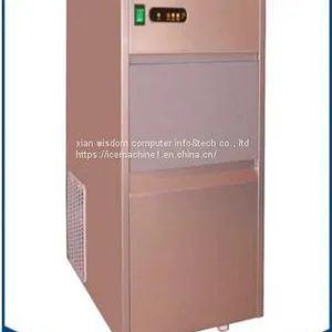 Professional Ice Maker thumbnail-1