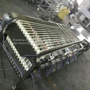 Cherry Tomato Sorting Machine thumbnail-3