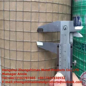 Welded Wire Mesh/galvanized Wire Mesh /wire Netting/weld Mesh Roll/ thumbnail-3