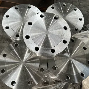 Blind Flange thumbnail-1