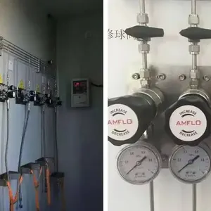 Laboratory Gas Pipeline Centralized Supply System Engineering Installation Gas Pipeline Renovation Piping Stainless Steel Pressure Reducing Valve thumbnail-3
