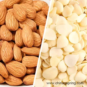 Industrial Wet Peeler Machine Nuts Peeling Machine Automatic Peanut Red Skin Peeling Machine for Peanut Processing thumbnail-5