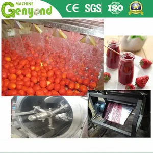 Berry, Cane, Lemon Industrial Tomato Paste Concentrate Sauce Jam Ketchup Puree Making Machine Production Line Processing Plant Juicing Crushing thumbnail-6