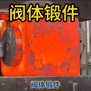 Valve Body Open-Die Forgings, Custom Forged Valve Body Blanks for High-Pressure Valves, Professional Forging Manufacturer thumbnail-1