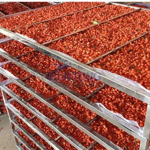 Cold Dryer 80 Trays Cooling Dehydration Fruit Drying Machine for Orange Blueberry Dry Peach Slice Dried Papaya Figs Making EPC thumbnail-3