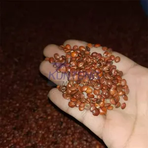 Dryer Machine for Agricultural Seed Sorghum Sunflower Pumpkin Seed Drying Machine Heat Pump Dryer EPC thumbnail-3