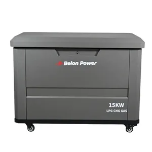 15KW Dual Cylinder Multi-fuel Silent Generator Gasoline Natural Gas CNG LNG LPG Methane Propane Standby Generator thumbnail-1