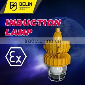 Explosion-proof Lights (high Frequency Electrodeless Lamp) thumbnail-1