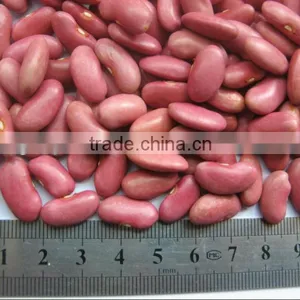 Dried Peas and Other Beans thumbnail-3
