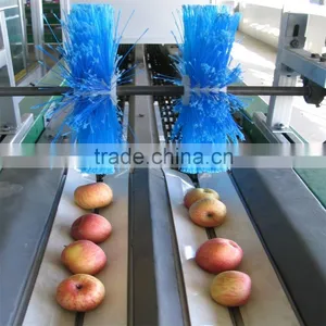 Kiwi Sorter Machine thumbnail-2