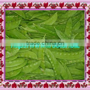 Frozen IQF Pea Pods thumbnail-1