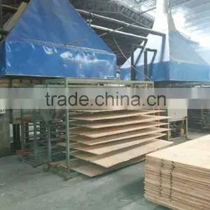 Professional Veneer Press for Sale Made in China thumbnail-1