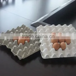 Small Egg Tray Machine thumbnail-2