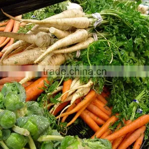 High Quality Vegetable Cleaning Machine/Fruit Cleaning Machine/vegetable Washing Machine Quality Choice thumbnail-2