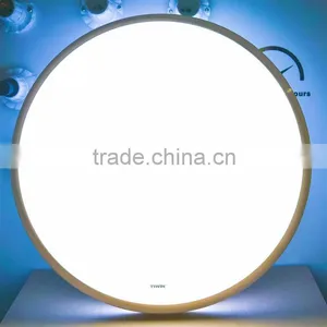 Hot Selling Ceiling Light With Remote Controller With Low Price thumbnail-2