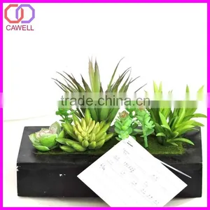 Real Looking Artificial Succulent Plants thumbnail-2