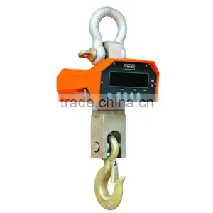 Hoist Crane Weighing Scales thumbnail-2