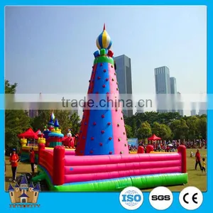 2016 New Design Inflatable Jumping Castle , Inflatable Bouncy Castle , Inflatable Bouncer for Sale thumbnail-3