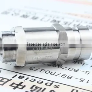 Dual Phase Steel Female Thread Check Valve thumbnail-1