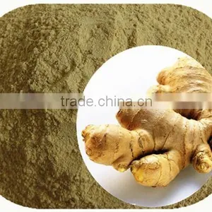 Hot Selling KOSHER Certificated High Quality 100% Natural Ginger Powder thumbnail-1