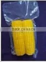 Fresh Pack Baby Corn in Brine 2015 thumbnail-3