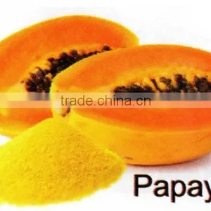 All-Natural Spray Dried Papaya Powder thumbnail-1