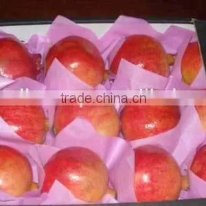 Pomegranates thumbnail-5