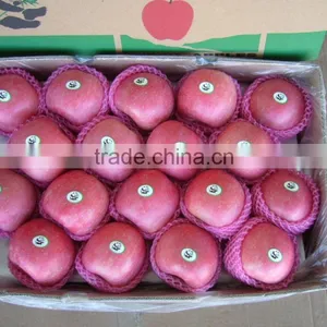 Fresh Apple Fruit Wholesale Distributors thumbnail-1