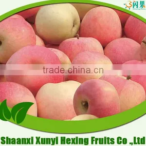 Gala Apple , Red Apples , Fresh Apple Price thumbnail-1