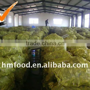 Supply Fresh Horseradish thumbnail-1