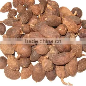 BLACK CARDAMOM thumbnail-1