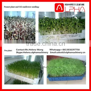 Hot Selling Grass Seeds Planting Machine Mung Bean Sprout Machine Seedling Planting Machine thumbnail-1