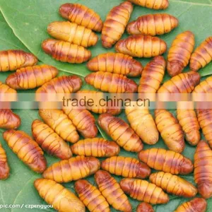 Microwave Dried Silkworm thumbnail-1