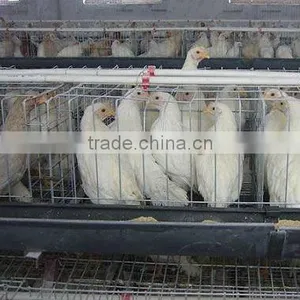 High Quaity Battery Cage thumbnail-1