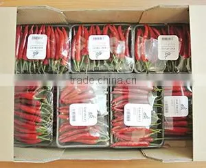 Fresh Chilli- Good Quality Spices for Cooking thumbnail-6