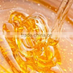Honey Vacuum Concentrator /honey Extractor /honey Making Machine Used to Remove Moisture of Honey thumbnail-5
