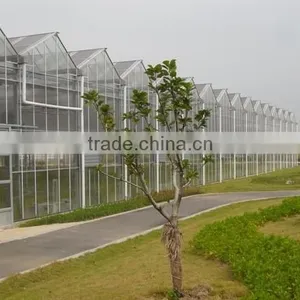 Large Multi-span Pig Greenhouse , Pig House , Fiberglass Shed thumbnail-6