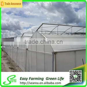 Hot Sale Small Size Agriculture Solar Tent/green House for Sale thumbnail-1