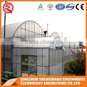 China Supplier Multi-span Plastic Film Agricultural Greenhouse for Sale thumbnail-1