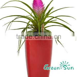Beautiful Large Waterproof PP Plastic Flower Pots thumbnail-1