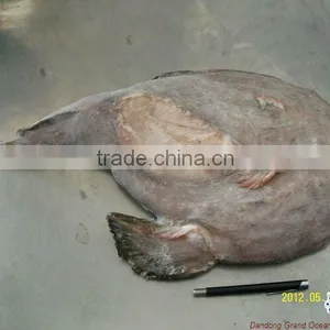 дикое мясо хвостаanglerfish thumbnail-1