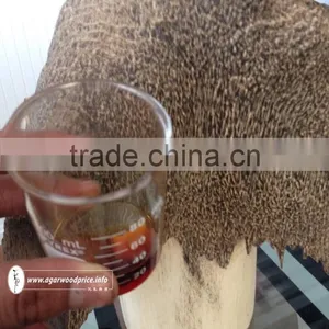 High Quality Agarwood Essential Oil of Vietnam thumbnail-1